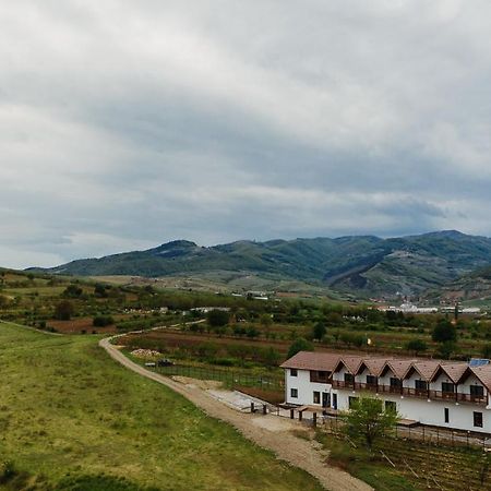 Pensiunea Casa Negrea Ighiu Buitenkant foto