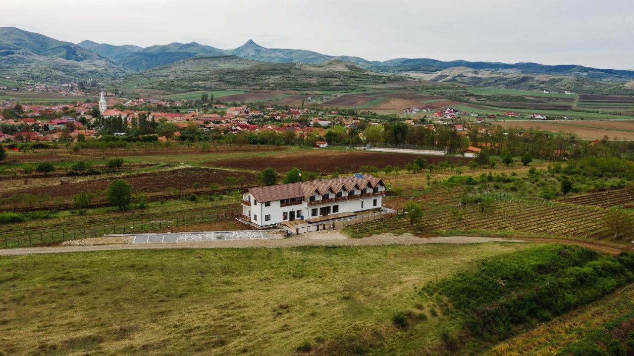 Pensiunea Casa Negrea Ighiu Buitenkant foto