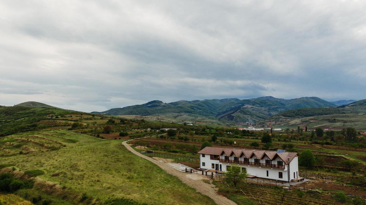 Pensiunea Casa Negrea Ighiu Buitenkant foto