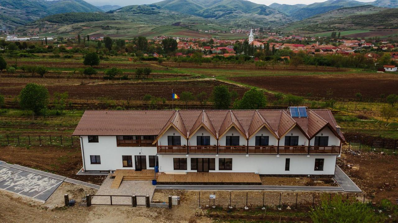 Pensiunea Casa Negrea Ighiu Buitenkant foto