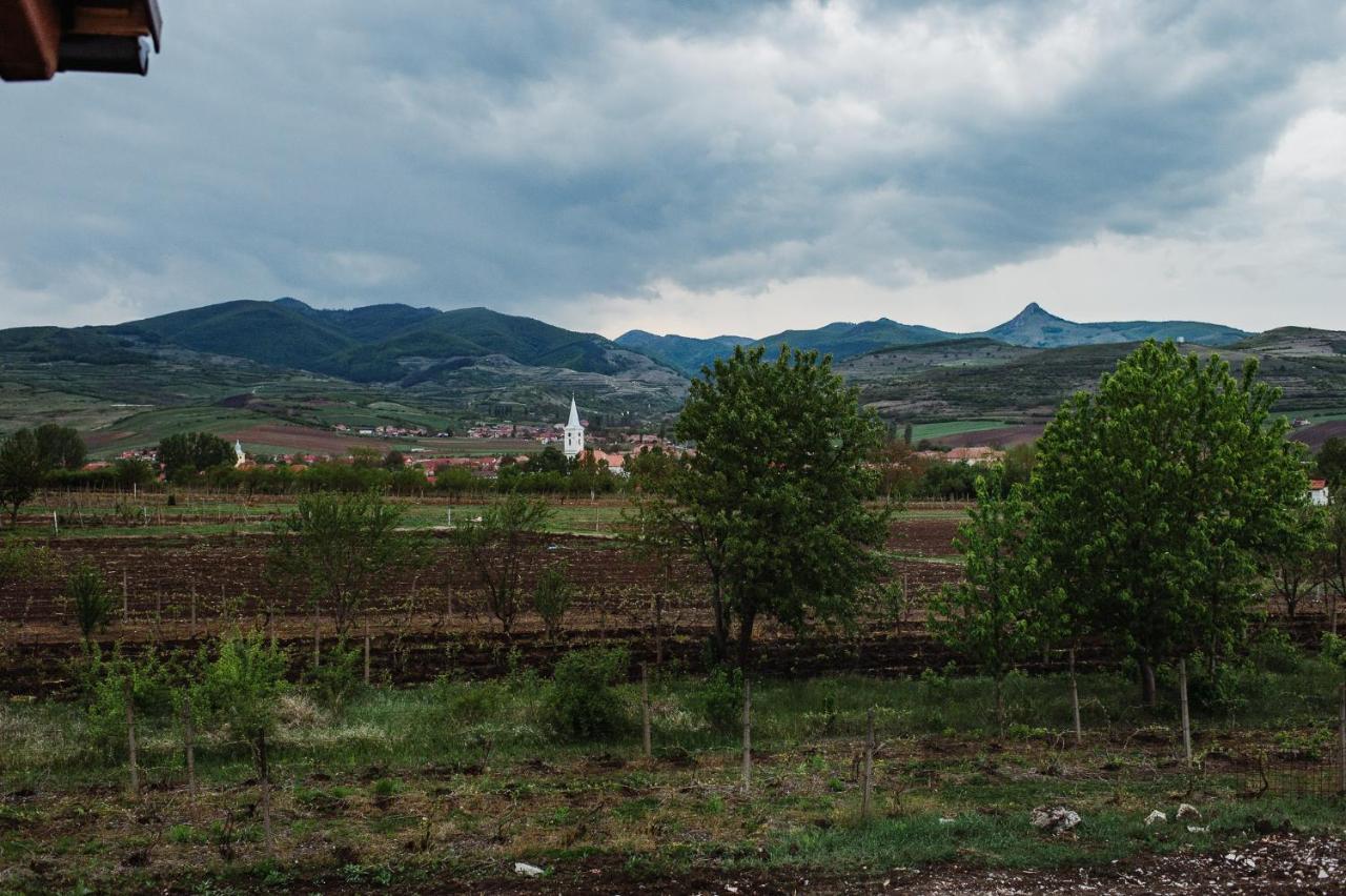 Pensiunea Casa Negrea Ighiu Buitenkant foto