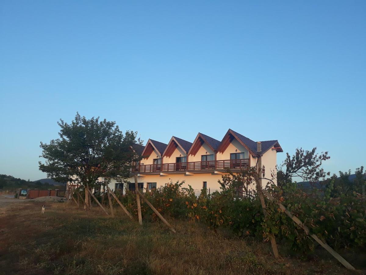 Pensiunea Casa Negrea Ighiu Buitenkant foto