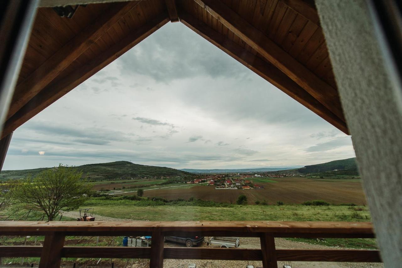 Pensiunea Casa Negrea Ighiu Buitenkant foto
