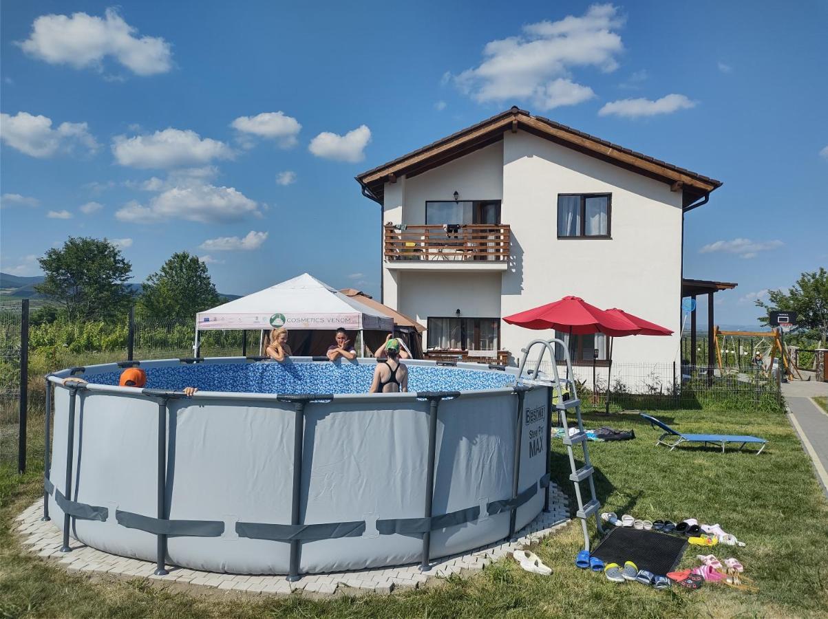 Pensiunea Casa Negrea Ighiu Buitenkant foto